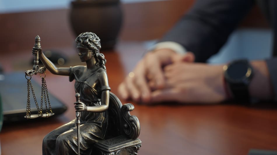 Holding Negligent Dog Owners Accountable: Kruvant Law’s Expertise in Dog Bite Cases